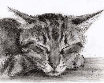 Tabby cat drawing | Etsy