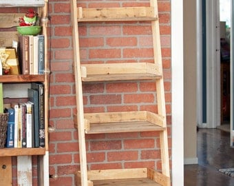 Leaning Ladder Shelf
