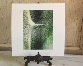 Agave - fine art photography print macro