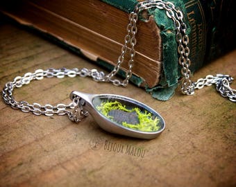 Trilobite Fossil Specimen Necklace Real Fossil Necklace Terrarium Necklace Green Moss Specimen Necklace trilobite jewellery Silver Metal