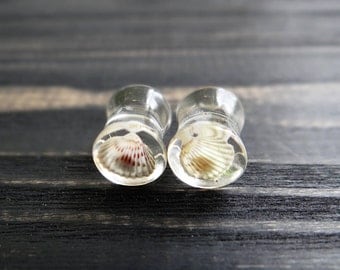 Nature plug earrings seashell jewelry terrarium jewelry resin plugs ear gauges sea shell jewelry nautical wedding gauges tunnels 2g 0g 00g