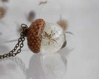 The real dandelion with acorn hat. Suspension acorn. The real acorn cap. Pendant epoxy resin. Pendant sphere 19 mm