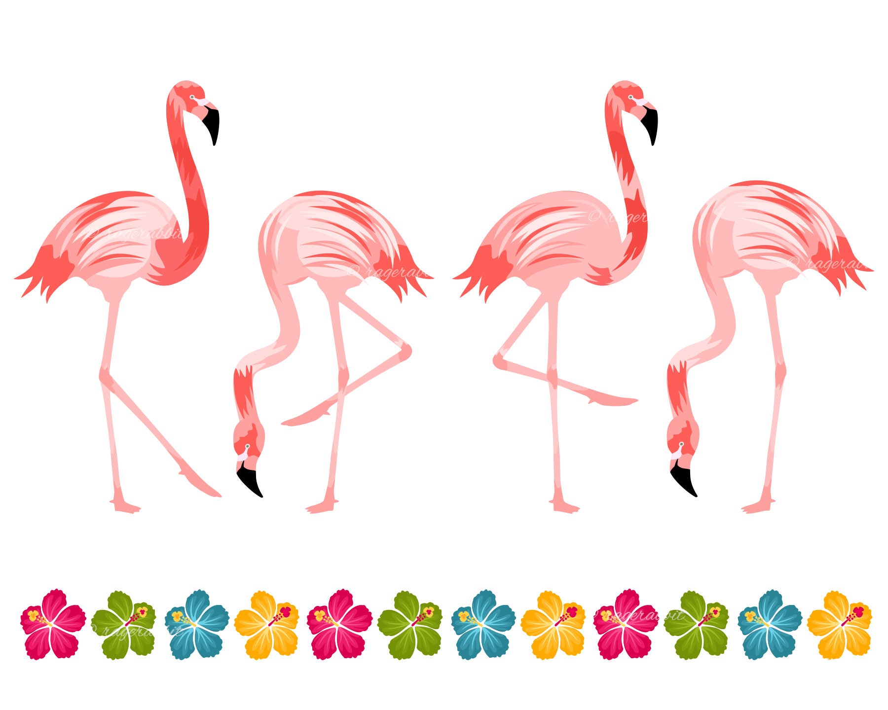 Download Flamingo Birds Set Hibiscus Border Vector Illustrations