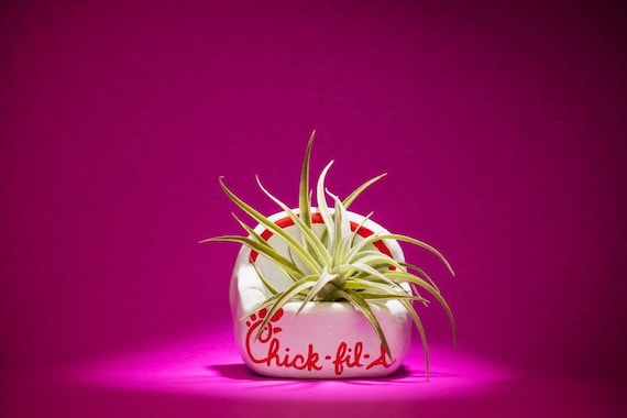 CHICKFILA FRIES PLANTER