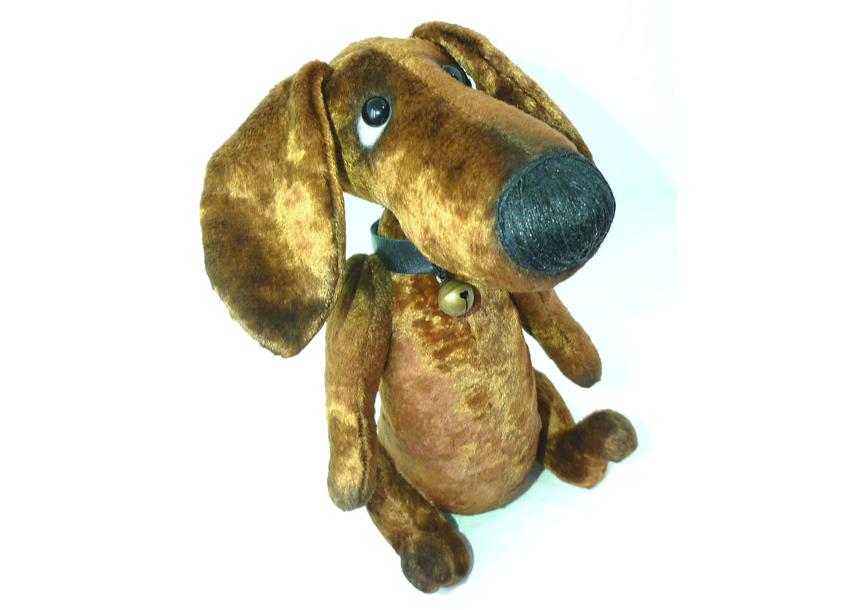 miniature dachshund teddy