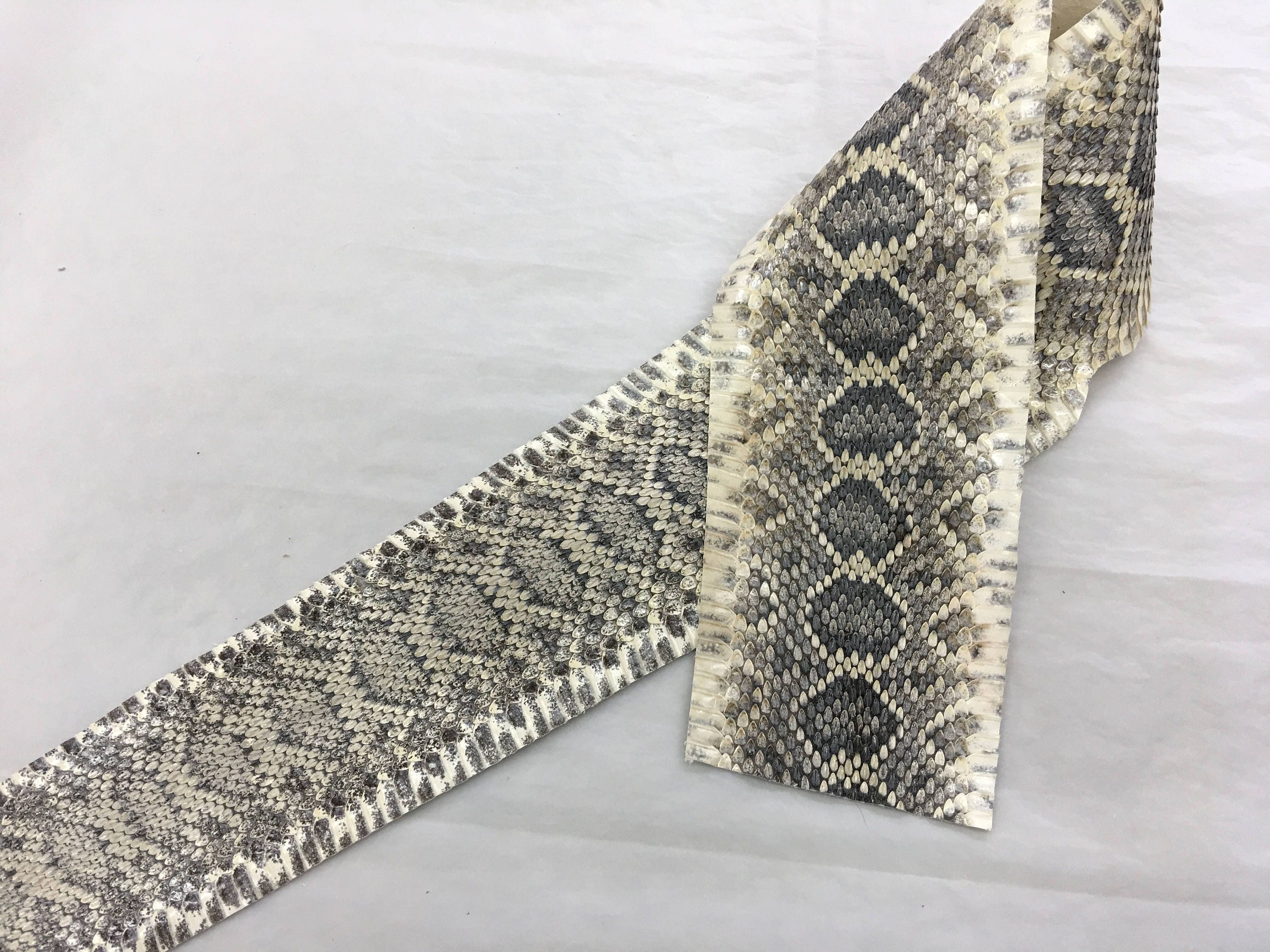 Eastern Diamondback Rattlesnake Hide, tanned, snake skin, snake print