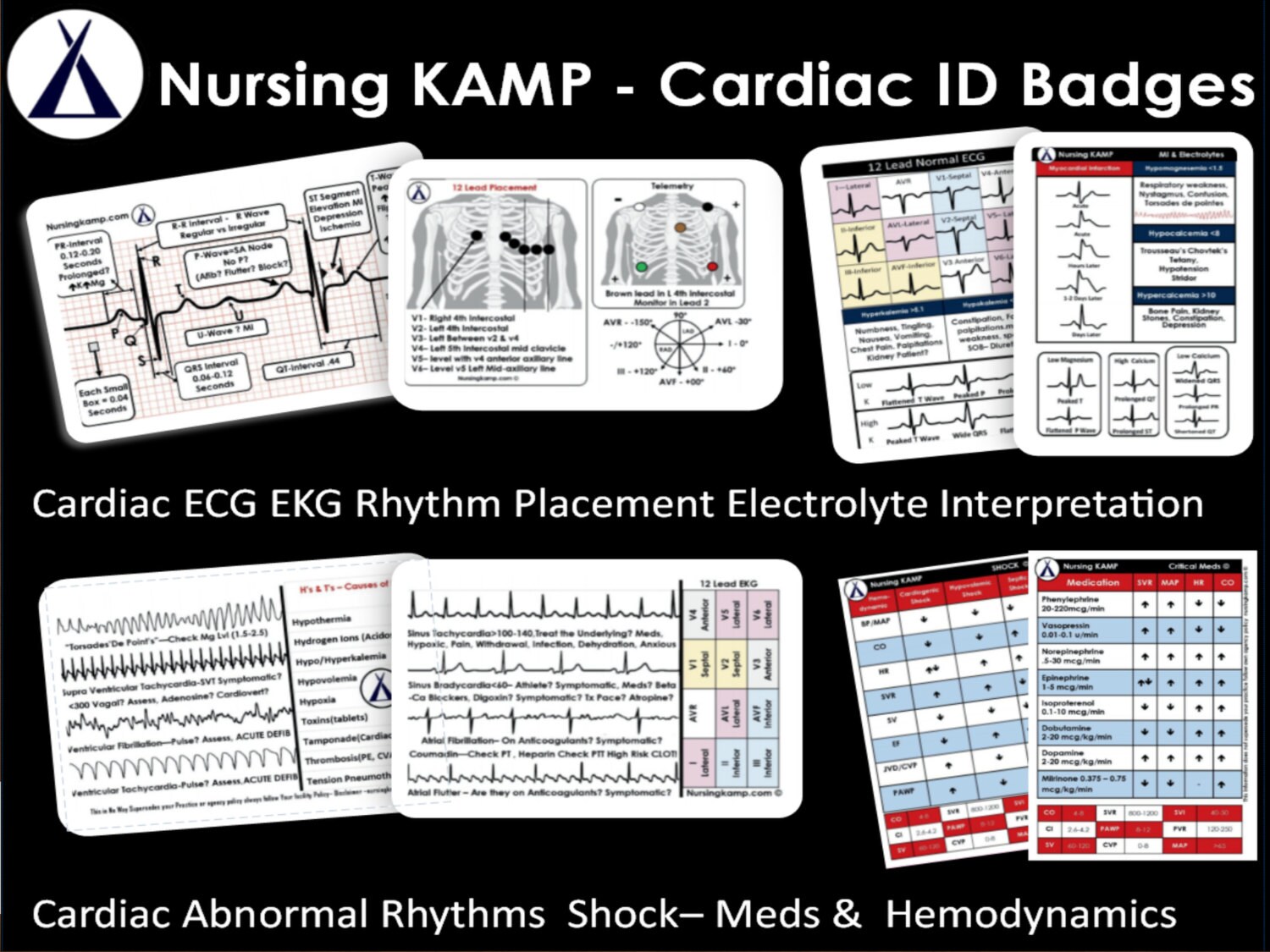 ID Badges Nursing Student Nurse Cardiac ECG EKG Clinical