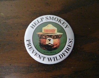Vintage Smokey Bear Help Prevent Forest Fires Button