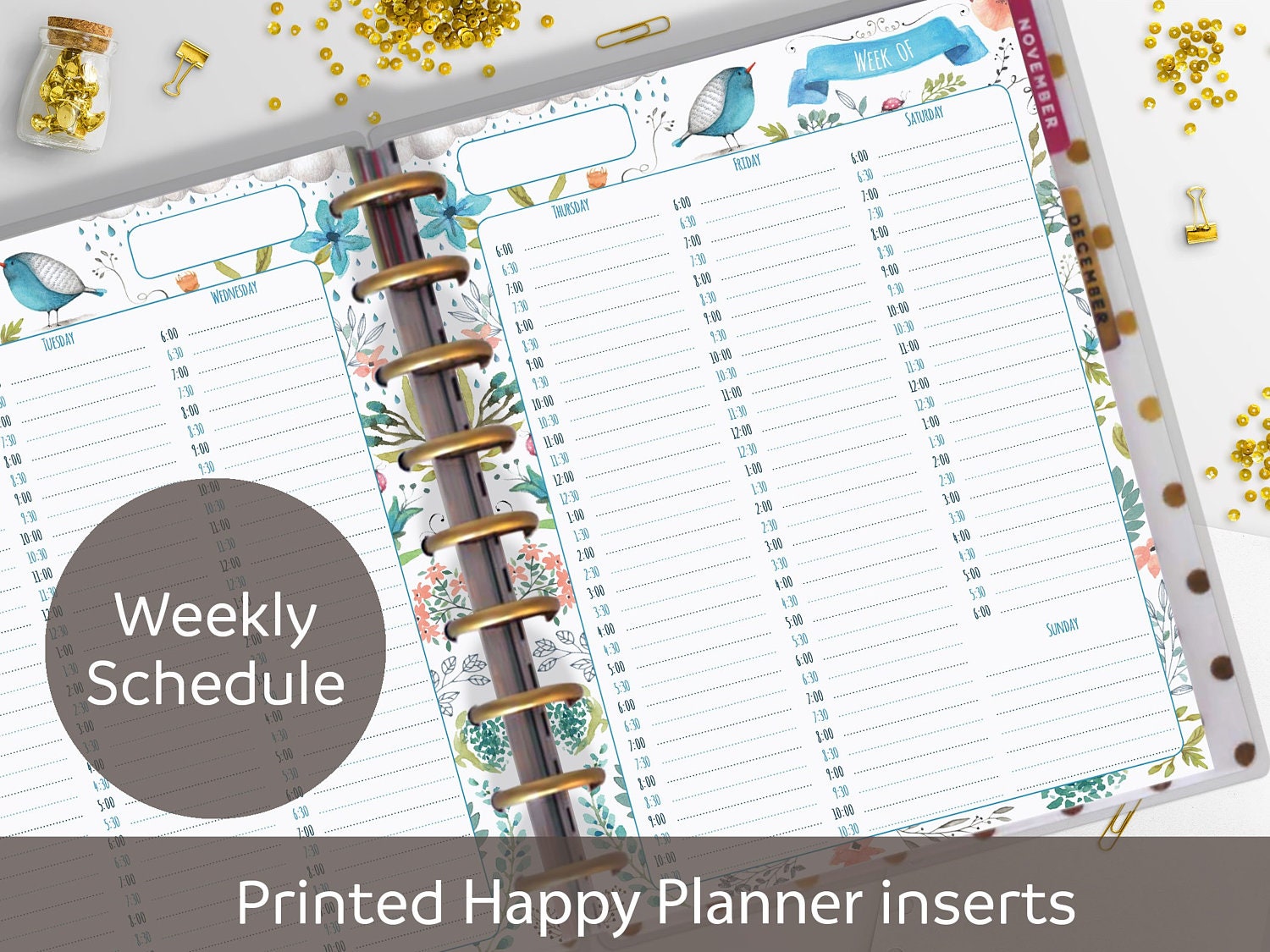 PRINTED Weekly Appointment Book Happy Planner Inserts Printed