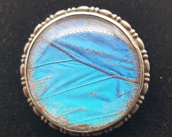 Exceptional Large Circular Morpho Butterfly Wing Brooch