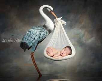 Digital backdrop newborn girl or boy stork