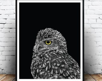 Owl Print, Owl Printable, Bird Printable Art, Bird Print, Black and White, Affiche Hibou, Affiche Oiseau, Digital Instant Download