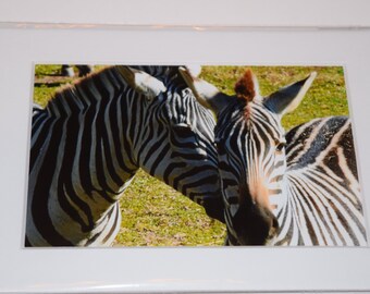zebra home decor | etsy zebra home decor | etsy