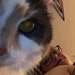 Fiona