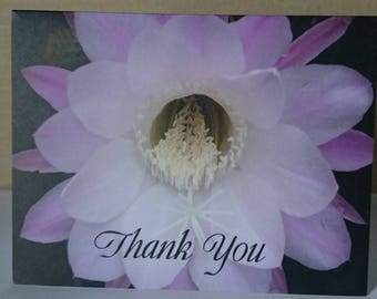 Blooming Cacti Thank You card