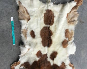 Red and White Spotted Goat Hide- Winter Hair Lot No. 25163TURQ