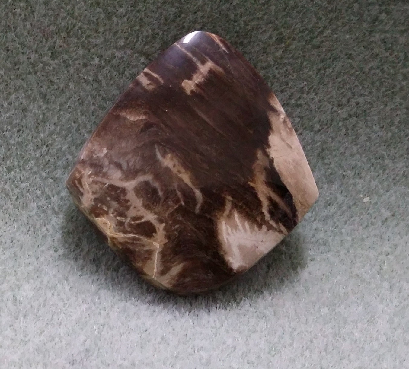 Petrified Wood from McDermitt Nevada Cabochon PWC3Z