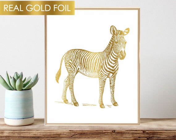 golden zebra animal
