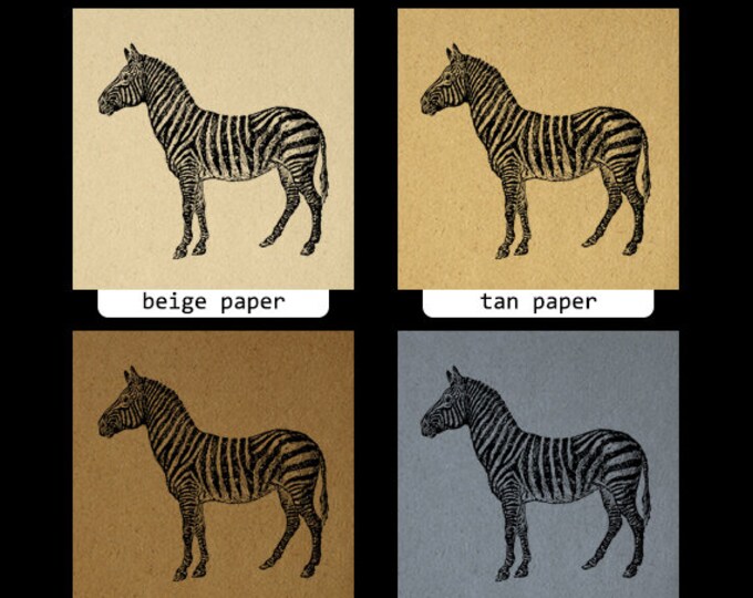 Printable Digital Zebra Graphic Illustration Image Download Antique Clip Art Jpg Png Eps HQ 300dpi No.3087