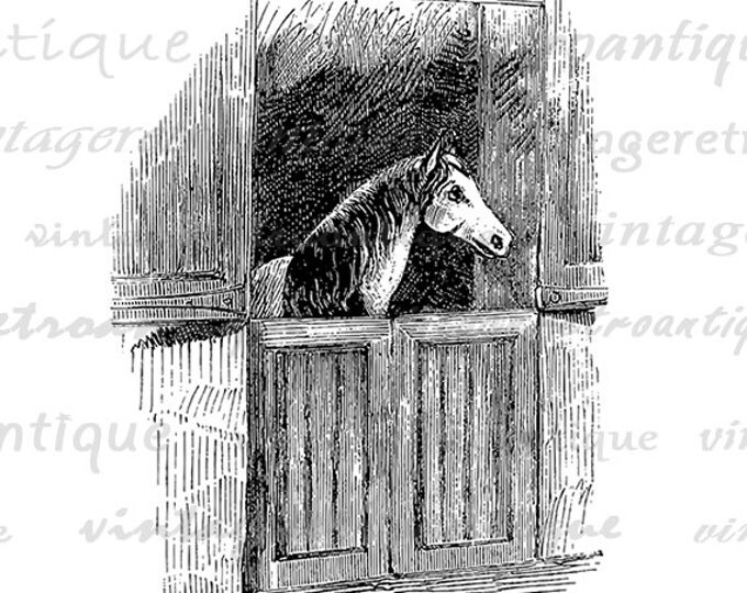 Printable Horse in Stable Graphic Digital Download Image Illustration Vintage Clip Art Jpg Png Eps HQ 300dpi No.2356