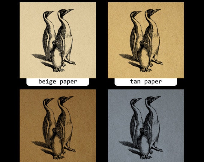 Printable Graphic Penguins Image Bird Download Antique Digital Vintage Clip Art Jpg Png Eps HQ 300dpi No.259