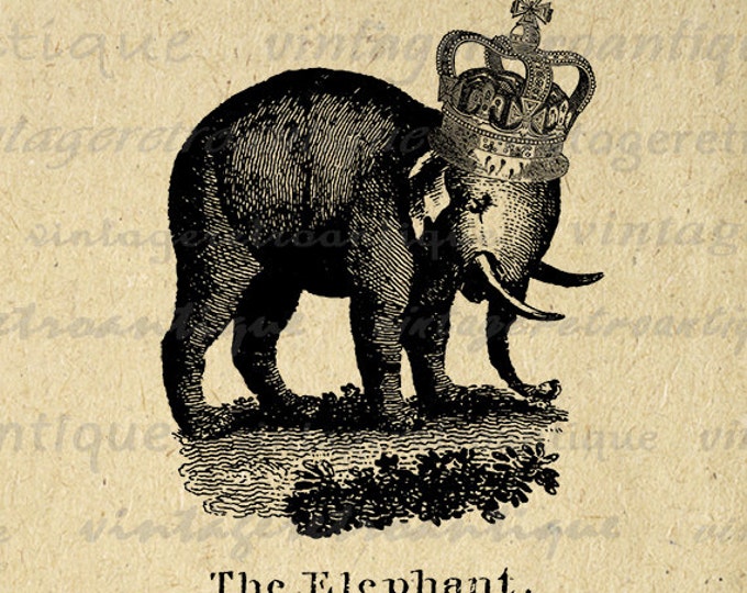 Elephant with Crown Digital Printable Image Antique Illustration Download Graphic Vintage Clip Art Jpg Png Eps HQ 300dpi No.1080