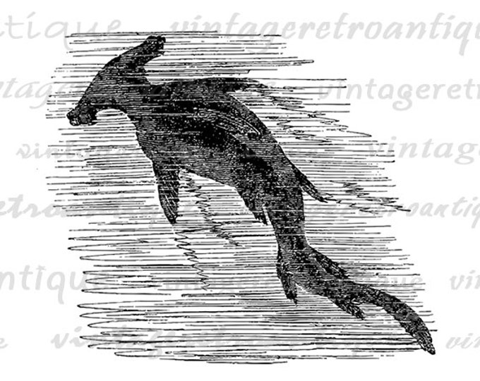 Digital Image Hammerhead Shark Download Graphic Printable Vintage Clip Art Jpg Png Eps HQ 300dpi No.596