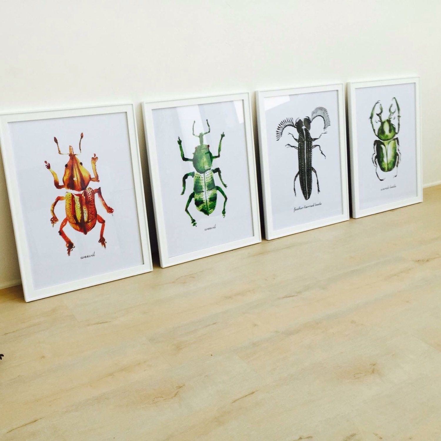 Insieme dell'illustrazione di bug di 2 pittura ad di colorzen