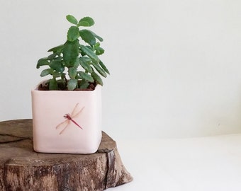 Ceramic Planter, Pink Ceramic Plant Pot, Succulent Planter, Cactus Planter, Pink Dragonfly Decor, Gift For Mom, Birthday Gift, Gift For Her