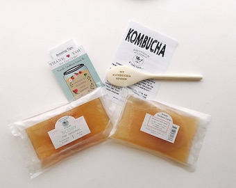 TWO Kombucha SCOBY + 3 CUPS of strong starter kombucha + etched wooden spoon + step by step recipe.