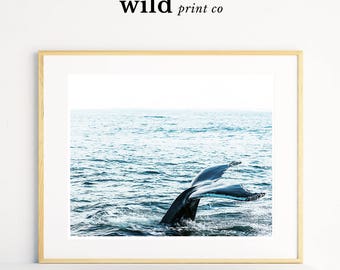 Whale Tail Print, Ocean Wall Art, Landscape Photography Print, Whale Wall Art, Animal Wall Decor, Ocean Photography Art, Whale Printable