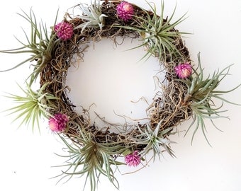 Living Air Plant Wreath with Pink Amaranth Flowers