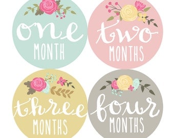 Baby Girl Month Stickers Monthly Baby Stickers Milestone Baby Month Stickers Baby Girl Vintage Floral Baby Shower Gift (Cursive Floral)