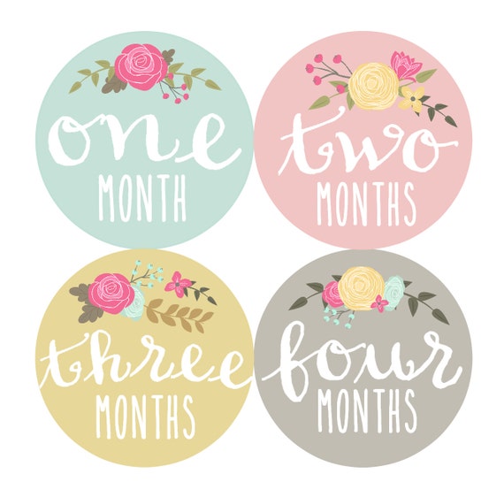 baby girl month stickers monthly baby stickers milestone baby