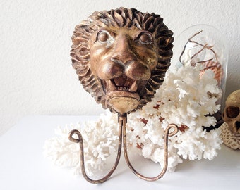 Animal Head Wall Decor animal head wall | etsy Animal Head Wall Decor animal head wall | etsy