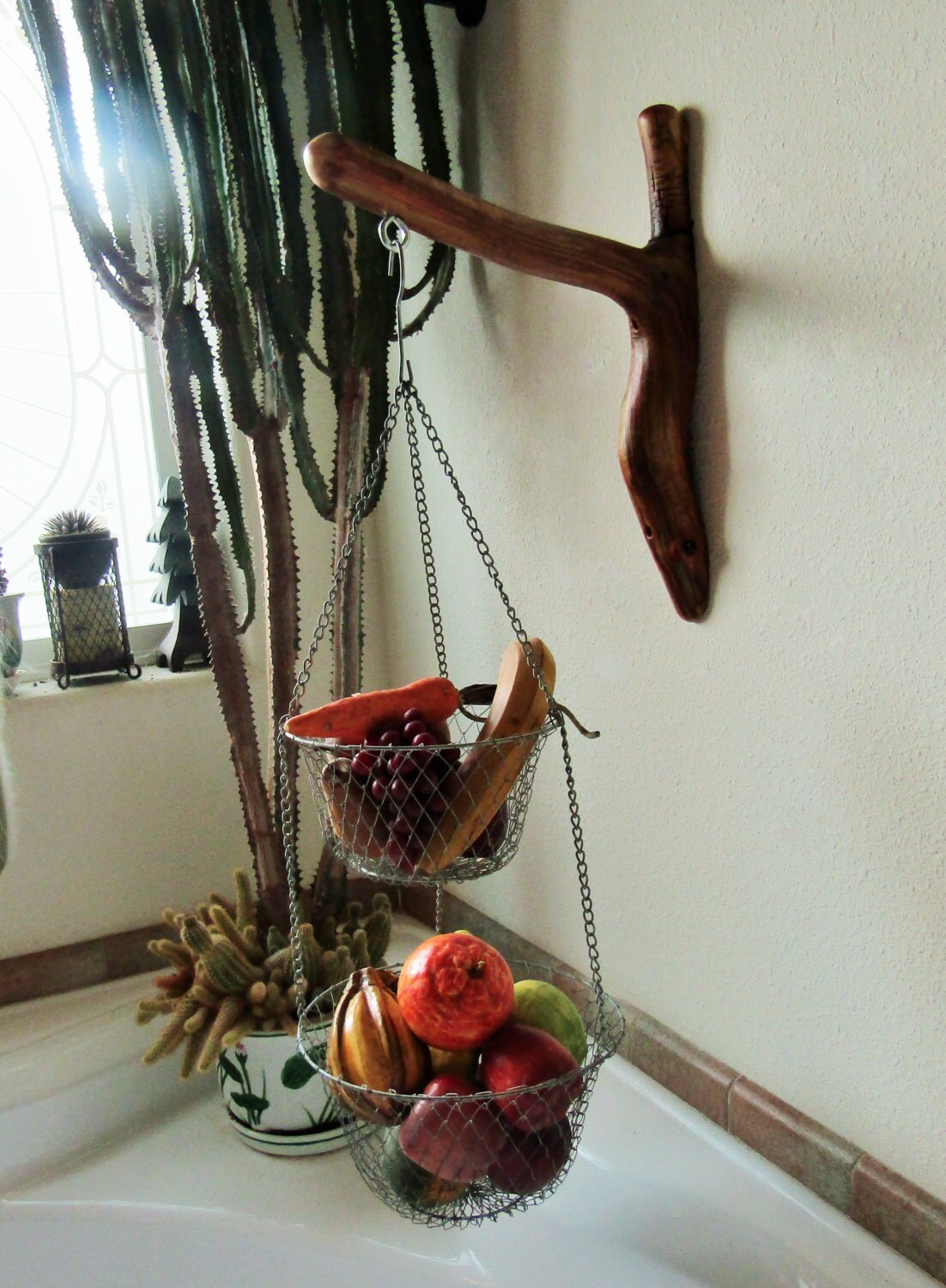 Unique Natural reclaimed tree branch Plant Hanger for plants