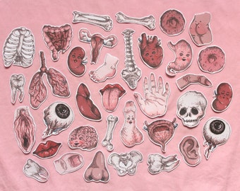 anatomy sticker set ~ 35 pack