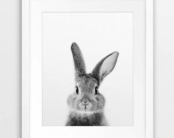 Rabbit Print, Bunny Rabbit Art, Black And White Animal Print, Rabbit Wall Decor, Bunny Print, Woodland Animals, Nursery Decor, Printable Art
