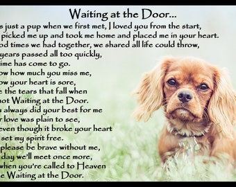 Ruby Cavalier King Charles Spaniel Dog Memorial Magnetic Sympathy Card Gift