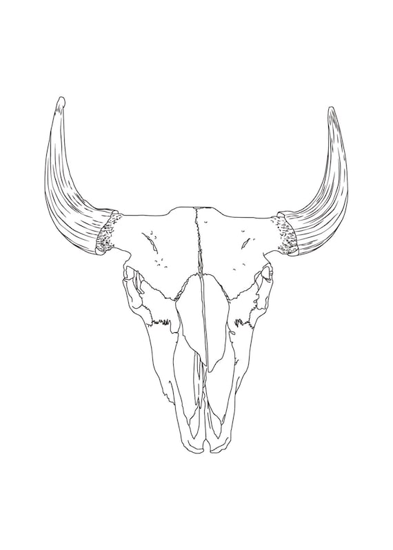 Buffalo Skull Outline Art Natural Wildlife Minimal