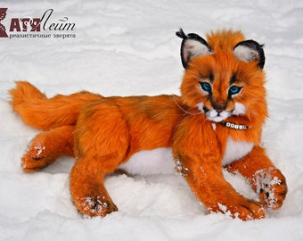 stuffed caracal