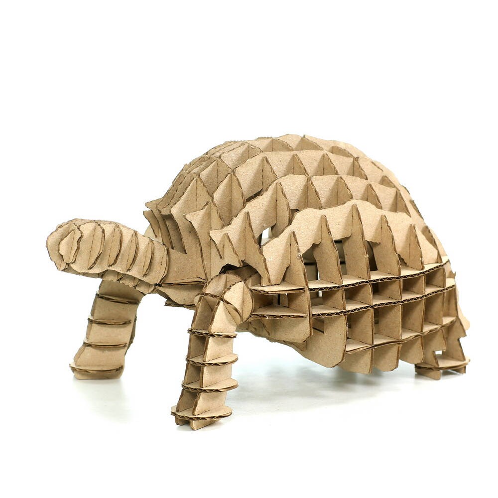 Turtle 3D Cardboard Puzzle3D Puzzle GameCardboard