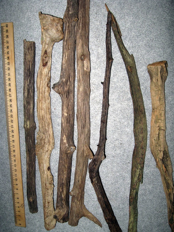 Natural tree branches decorative driftwood macrame branch wood