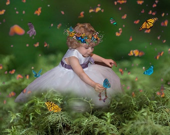 Butterfly Overlays