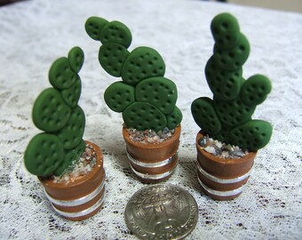 Southwestern Cactus 12th scale #1 Dollhouse Miniature