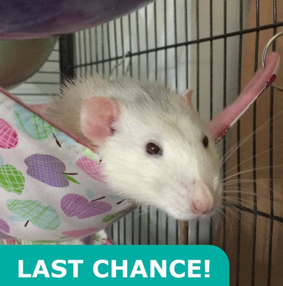 Rat Cage Accessories Flat Pet Hammock for Rats Hamsters by TezPetz