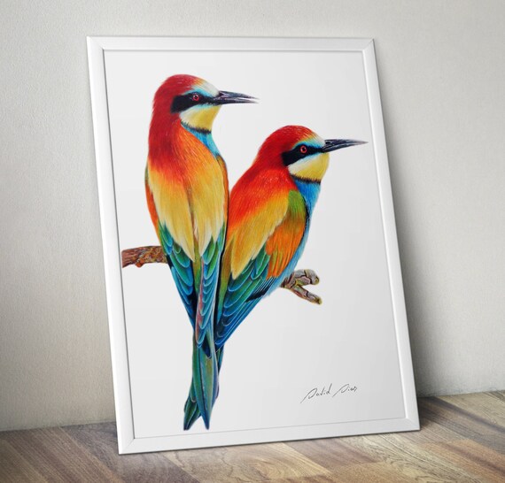 Birds PRINT A4 size