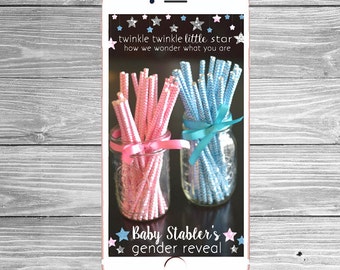 Custom Silver or Gold Twinkle Twinkle Little Star Gender Reveal Snapchat Filter, Gender Reveal Snapchat Geofilter