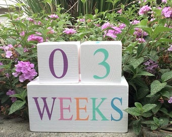 Multi-Color Milestone Blocks