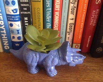 Vara, the itty bitty purple triceratops planter, with realistic succulent / Mother's Day gift / Co-worker gift / Graduation gift